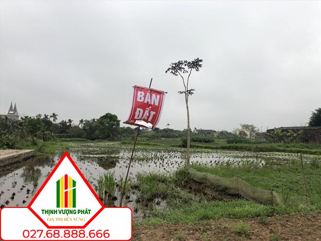 Luật đất đai có hiệu lực, đất nông nghiệp sẽ có giá trị