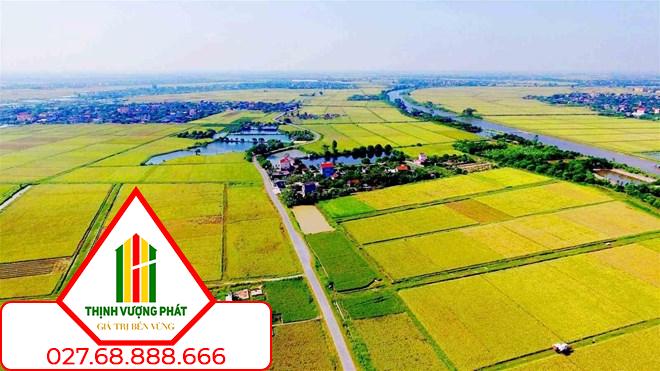 Quy định mới về chuyển mục đích sử dụng đất trồng lúa