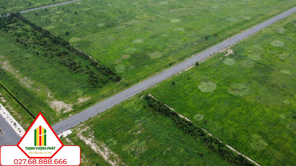 Tỉnh Bình Dương đang khẩn trương chuẩn bị để động thổ khu công nghiệp Cây Trường. Ảnh: Đình Trọng