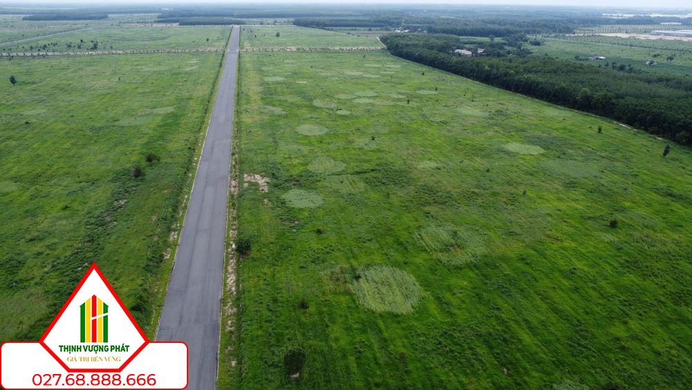 Hàng chục ha đất trống bằng phẳng đã sẵn sàng để xây dựng khu công nghiệp Cây Trường. Ảnh: Đình Trọng