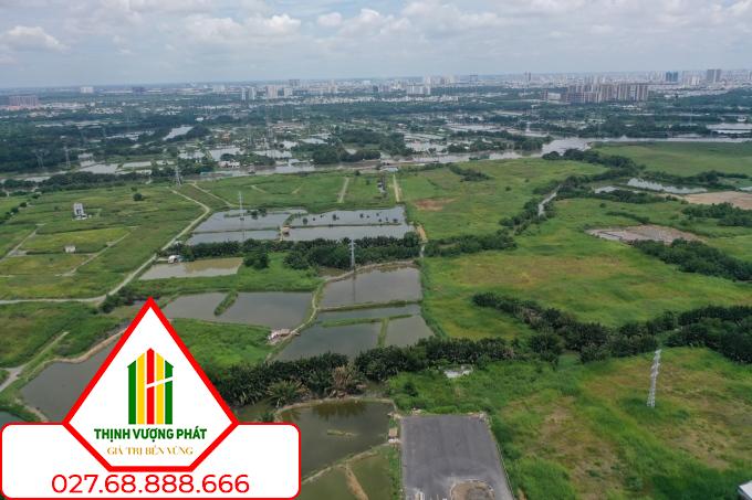 Bất động sản khu Nam TP HCM, đoạn qua huyện Nhà Bè, tháng 7/2024. Ảnh: Quỳnh Trần