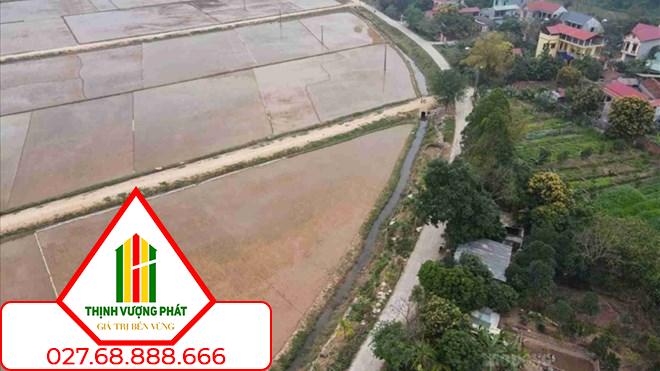 Luật Đất đai 2024 quy định mức hỗ trợ cho một nhân khẩu khi bị thu hồi đất nông nghiệp. Ảnh minh họa: Phan Anh