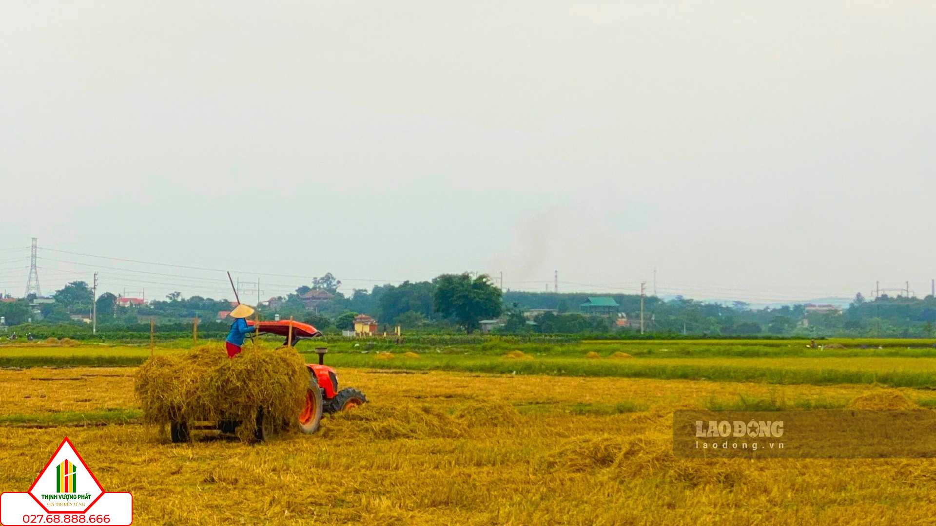 Người dân chỉ cần căn cứ vào quy định của pháp luật để chuyển mục đích sử dụng đất nông nghiệp. Ảnh: Tuyết Lan