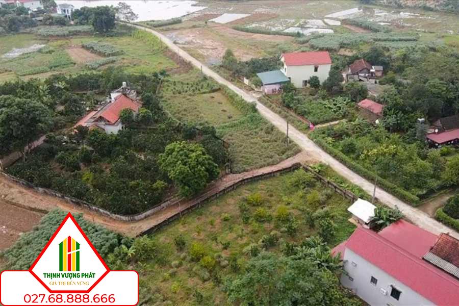 Trường hợp không cần gia hạn sử dụng đất vẫn được tiếp tục sử dụng. Ảnh: Phan Anh