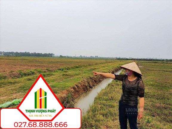 100% trường hợp xây nhà trên đất nông nghiệp sẽ bị phá dỡ. Ảnh: Phan Anh