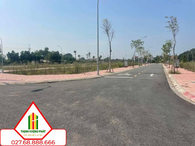 Phân khúc đất nền được dự báo sẽ tiếp tục nhận được sự quan tâm của nhà đầu tư trong năm 2025. Ảnh: Thu Giang