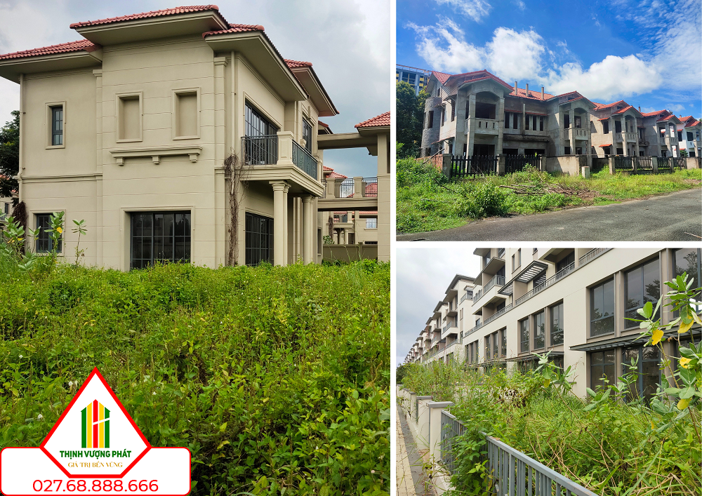 Mua nhà theo tin đồn hoặc theo phong trào có thể dẫn đến rủi ro lớn cho nhà đầu tư