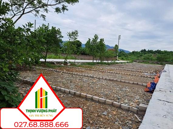 Đất nền tách thửa tăng nhiệt. Ảnh minh họa: Lục Giang