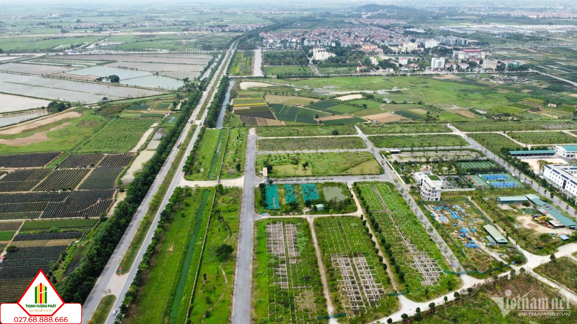 W-vanh-dai-4-vietnamnet-10-1.jpg