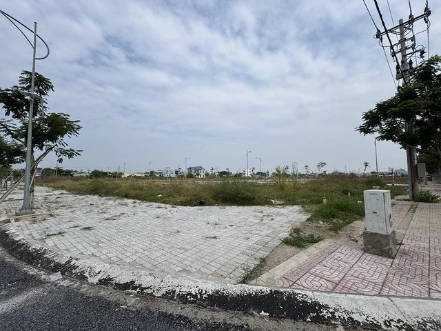 Khu đô thị lấn biển Cần Giờ cùng nhiều dự án khác dự kiến khởi động trong năm 2025 Ảnh: Đình Sơn